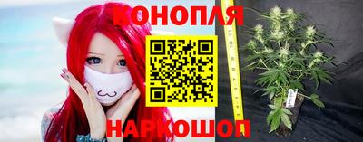 мяу мяу мука Малоярославец